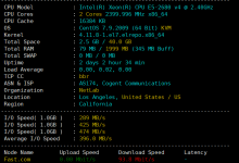 丽萨主机双 ISP 美国住宅 AS9929 VPS 测评:原生 IP 解锁所有流媒体,IP 质量高,国内速度稳定、无丢包-便宜VPS网